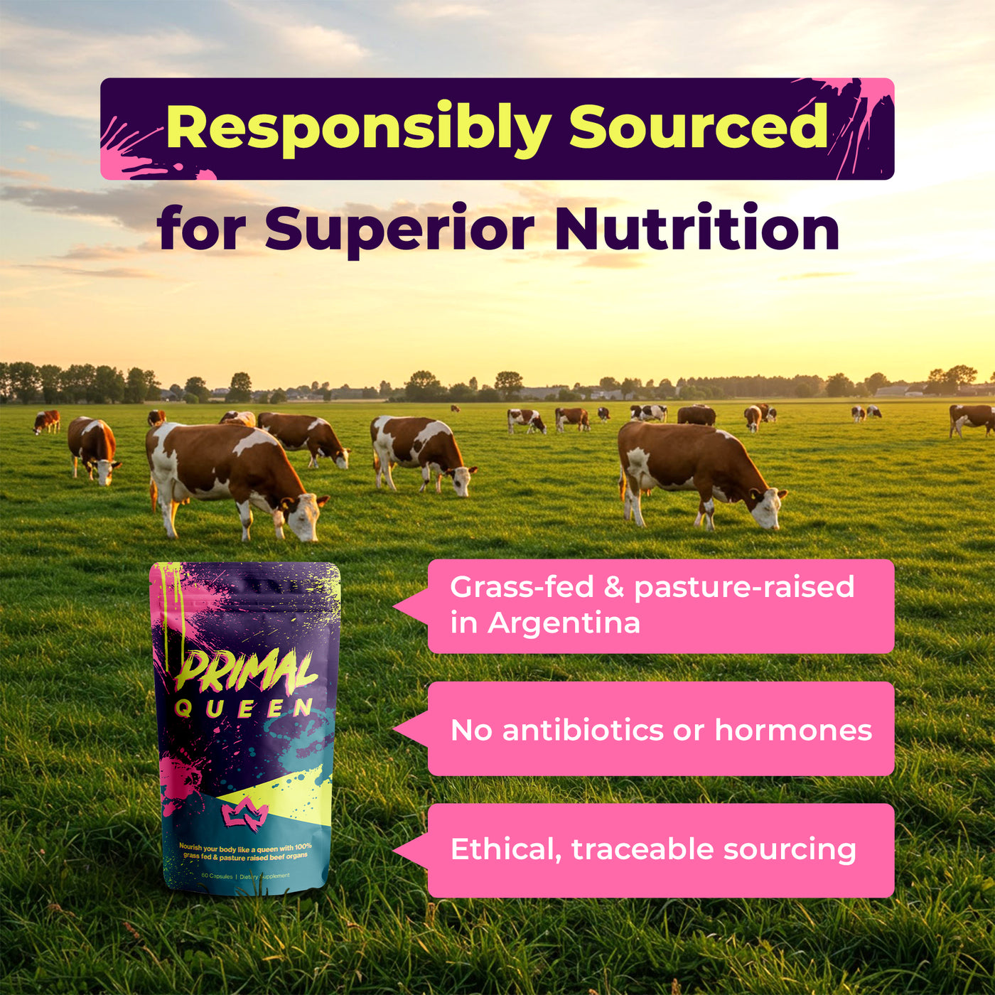 Primal Queen Female-Optimized Beef Organ Superfood Supplement (Beef Liver, Kidney, Heart, & 3 More) - 100% Grass Fed, Pasture Raised - 3rd Party & Clinically Tested